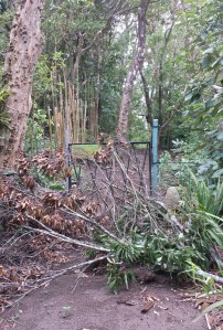 The entrance to the trail