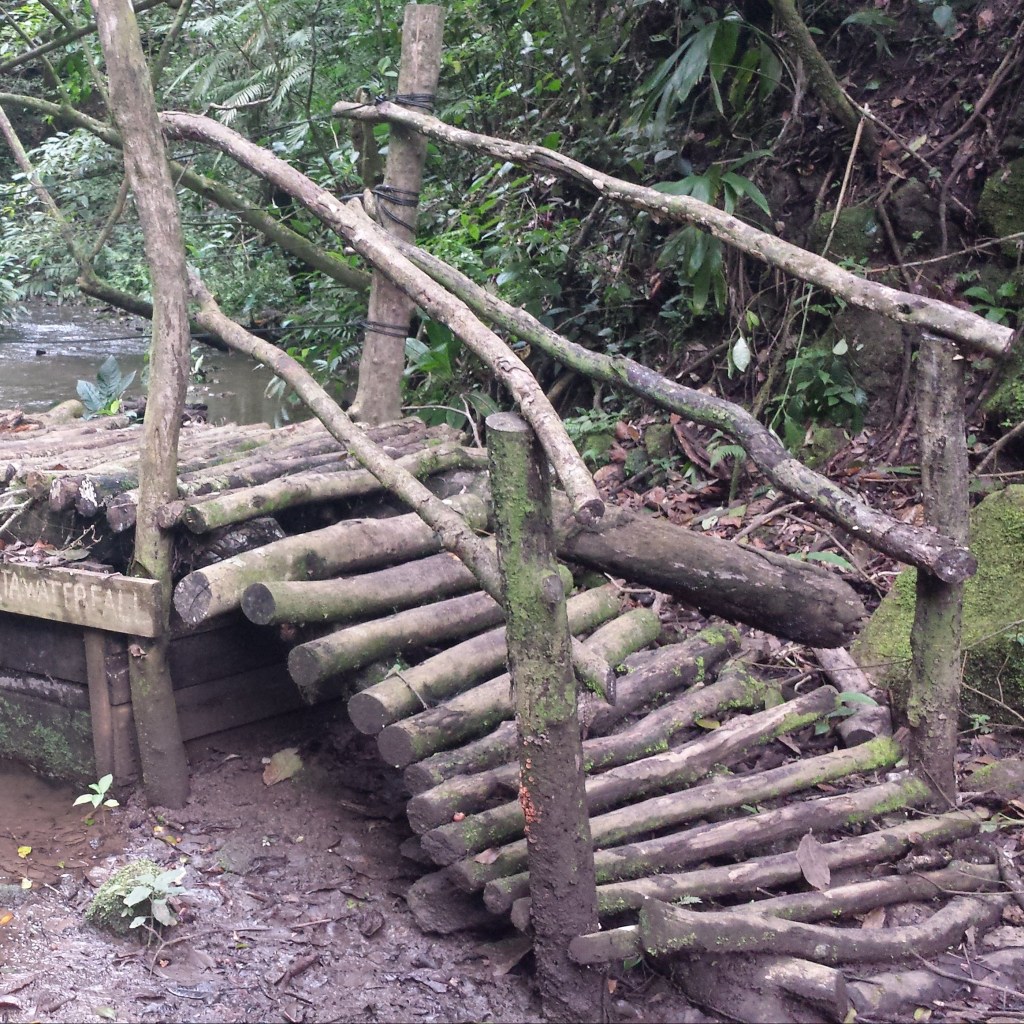 Bridge over the muddy stream