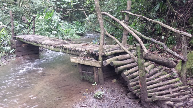 Bridge over the muddy stream