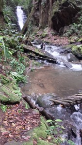Broken bridge, with the waterfall in the distance